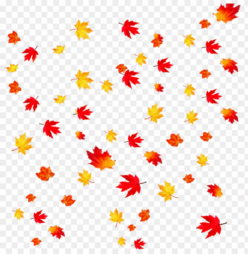 Detail Fall Leaves Png Transparent Nomer 19