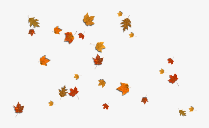 Detail Fall Leaves Png Transparent Nomer 23