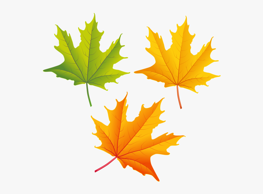 Detail Fall Leaves Png Transparent Nomer 26