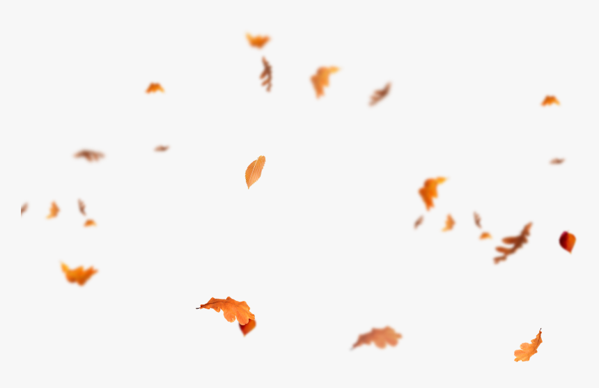 Detail Fall Leaves Png Transparent Nomer 34