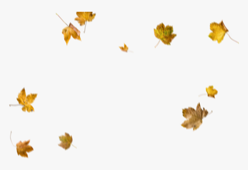 Detail Fall Leaves Png Transparent Nomer 44