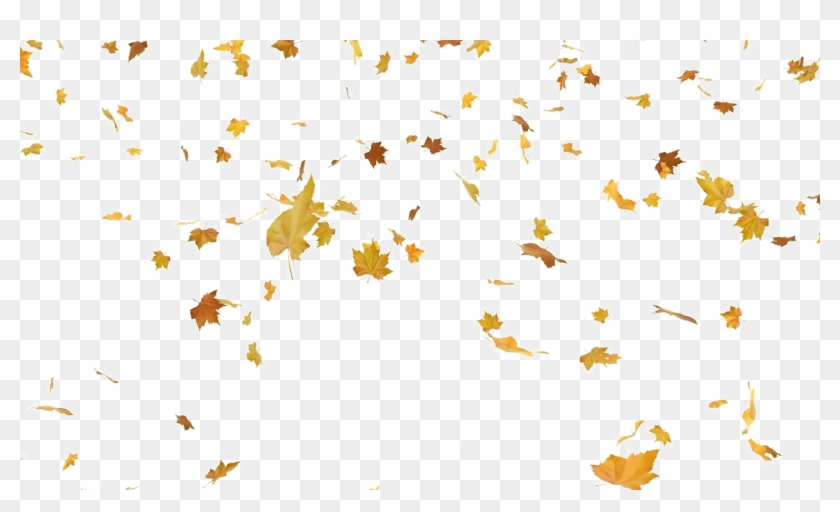 Detail Fall Leaves Png Transparent Nomer 48