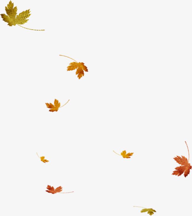 Detail Fall Leaves Png Transparent Nomer 51