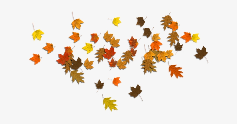 Detail Fall Leaves Png Transparent Nomer 53