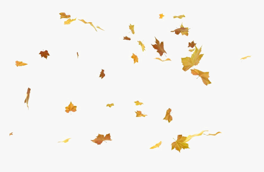 Detail Fall Leaves Png Transparent Nomer 6