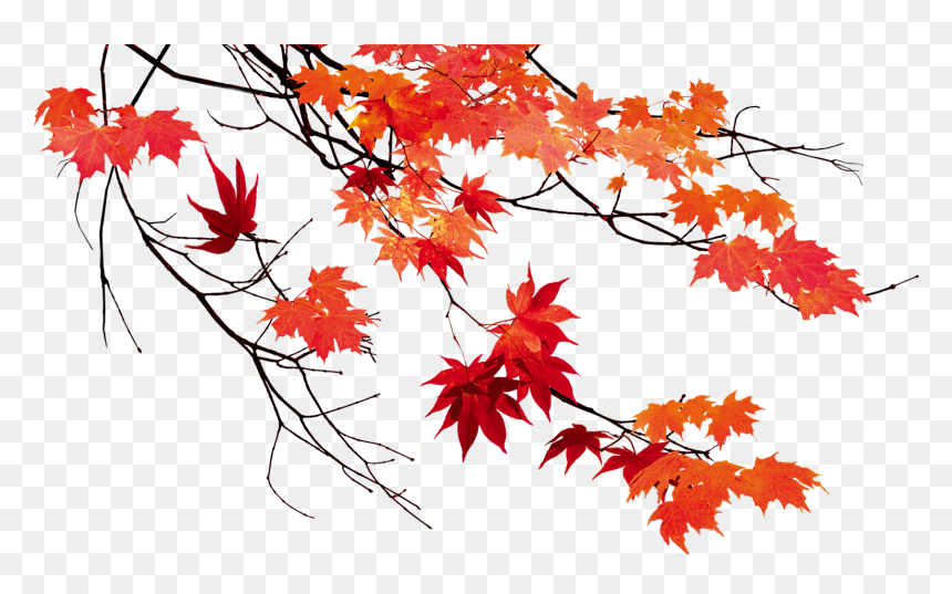 Detail Fall Png Images Nomer 35