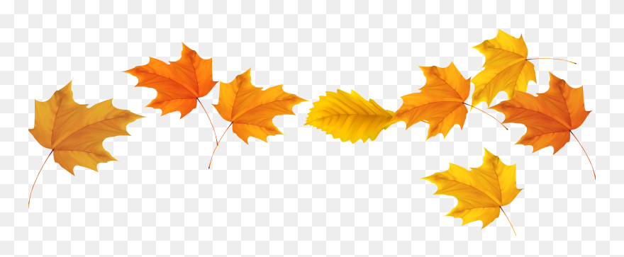 Detail Fall Png Images Nomer 36