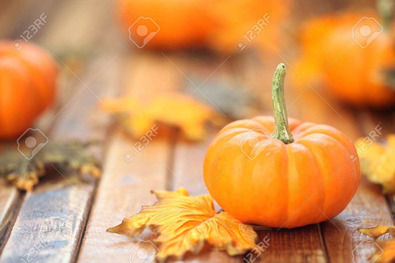 Detail Fall Pumpkin Images Free Nomer 11