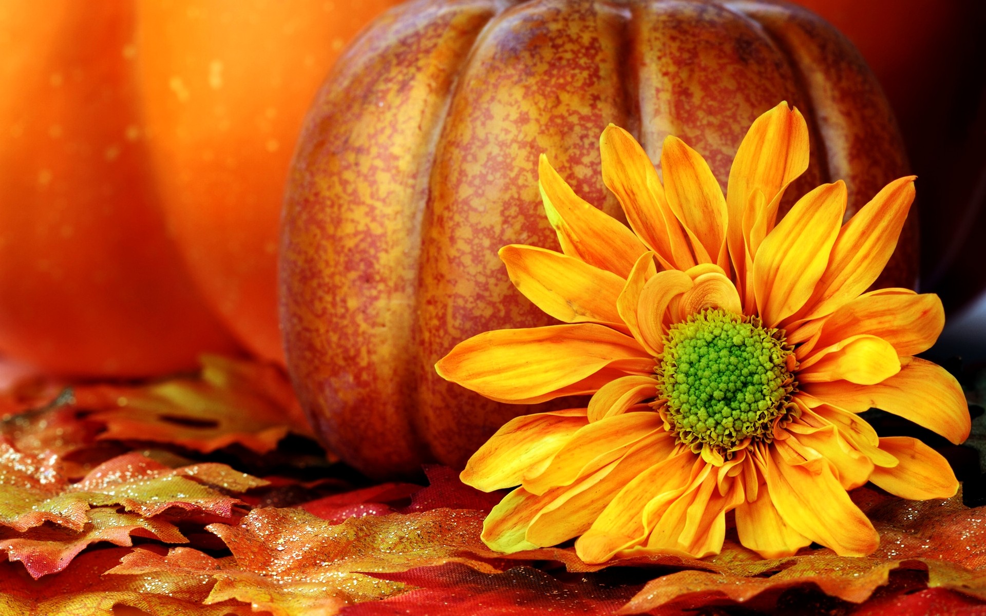 Detail Fall Pumpkin Images Free Nomer 19