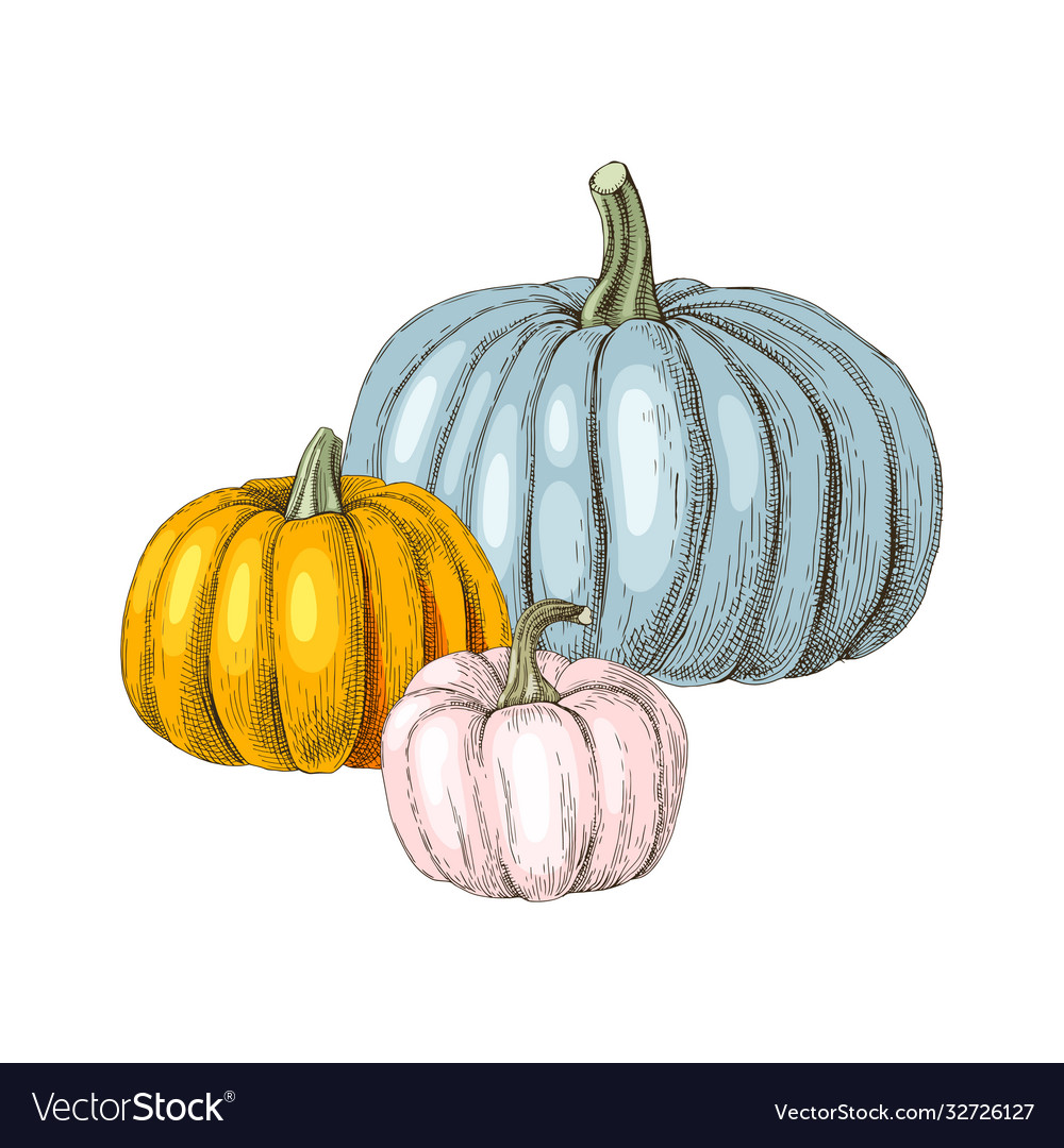 Detail Fall Pumpkin Images Free Nomer 45