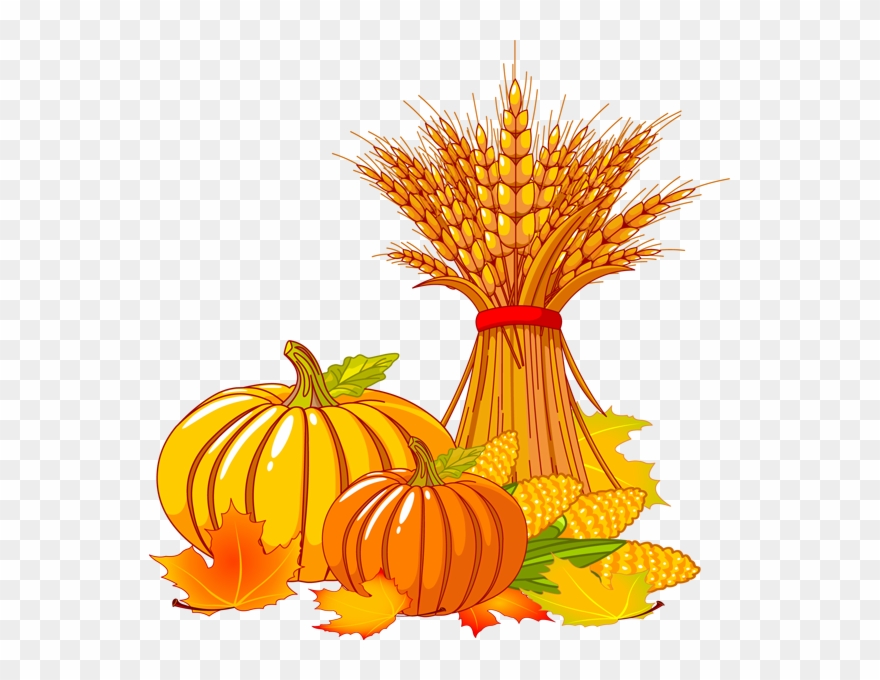 Detail Fall Pumpkin Png Nomer 15