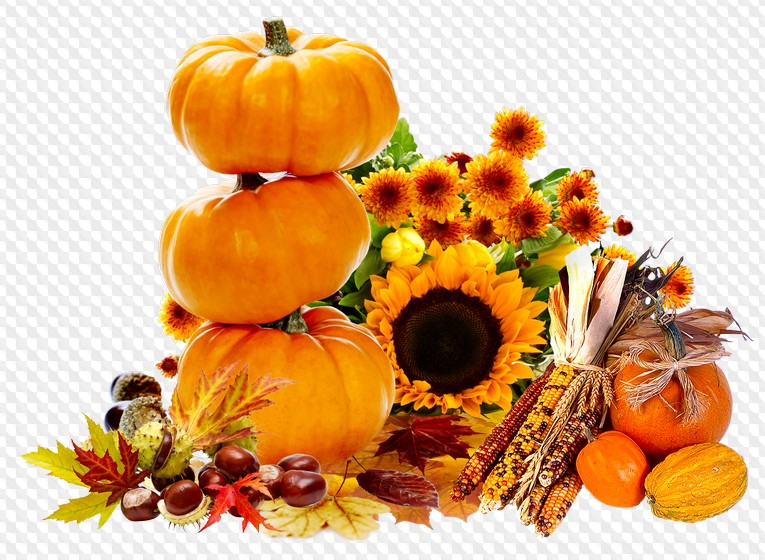 Detail Fall Pumpkin Png Nomer 31