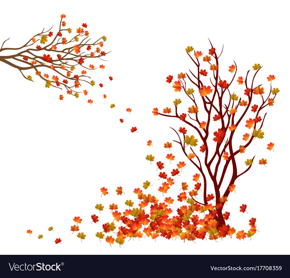 Detail Fall Tree Background Images Nomer 42