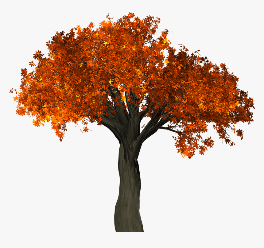 Detail Fall Tree Background Images Nomer 51