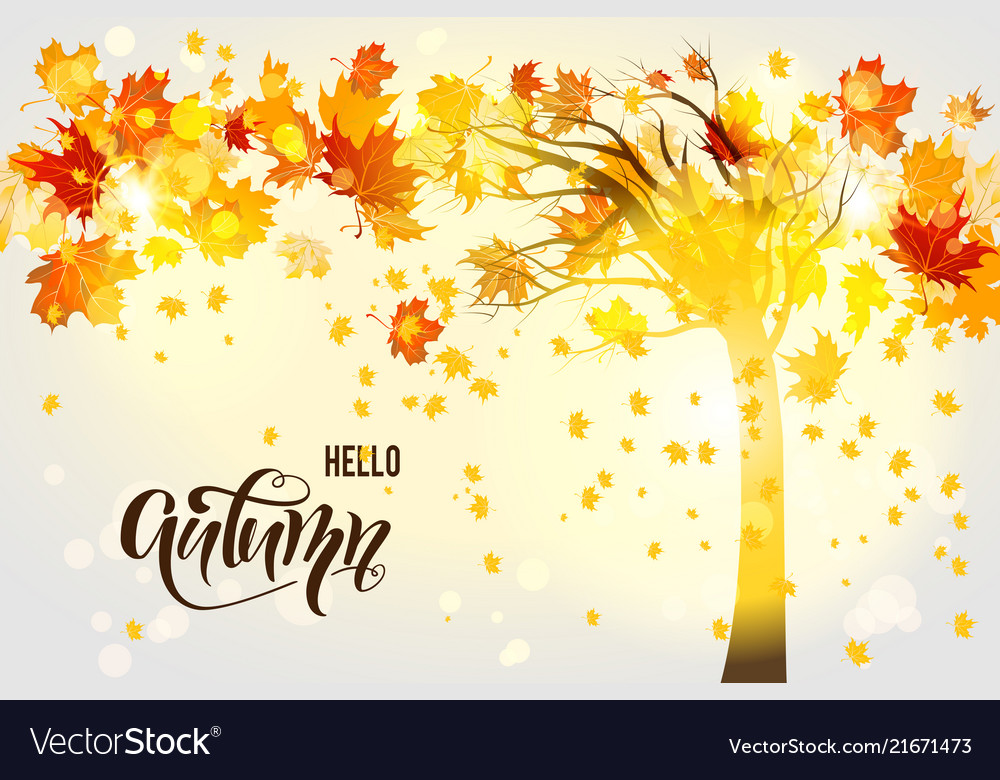 Detail Fall Tree Background Images Nomer 10