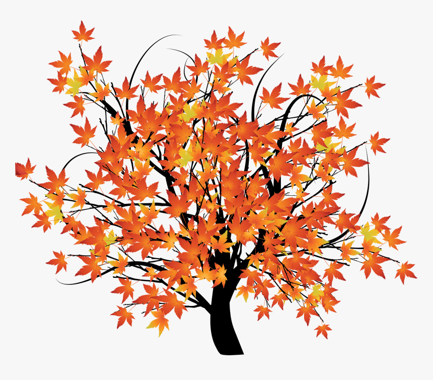 Detail Fall Tree Transparent Background Nomer 18