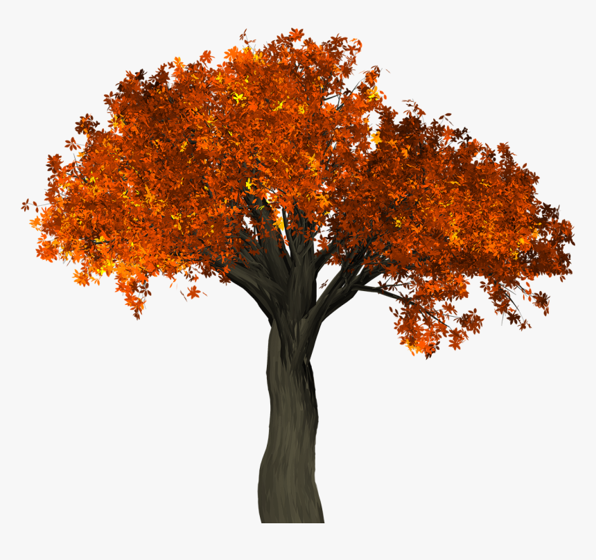 Detail Fall Tree Transparent Background Nomer 2