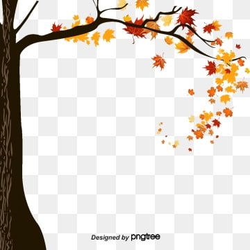 Detail Fall Tree Transparent Background Nomer 21