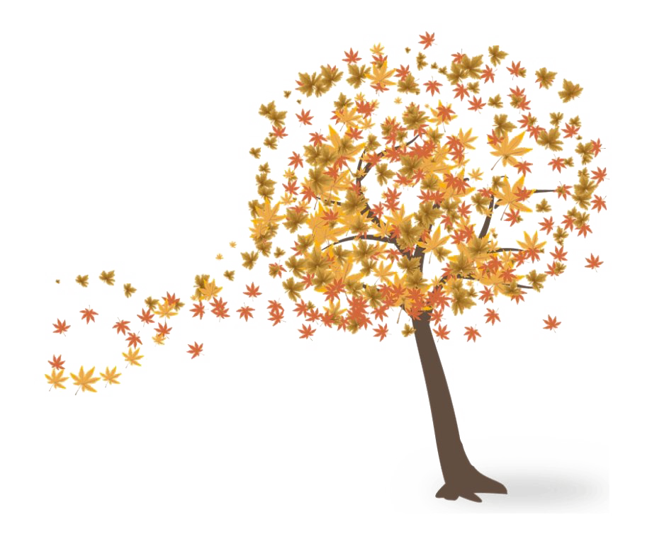 Detail Fall Tree Transparent Background Nomer 23