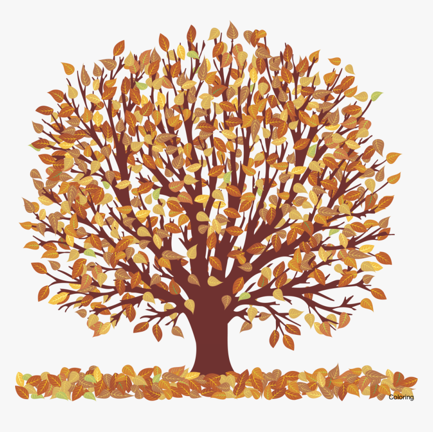 Detail Fall Tree Transparent Background Nomer 31