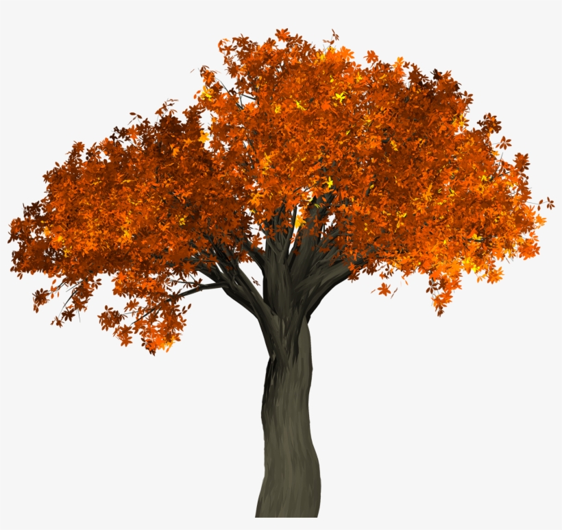 Detail Fall Tree Transparent Background Nomer 4