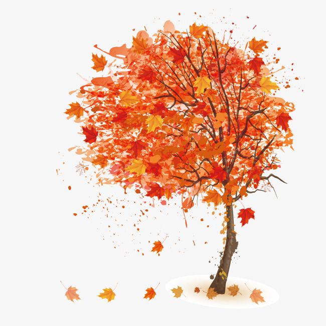 Detail Fall Tree Transparent Background Nomer 50