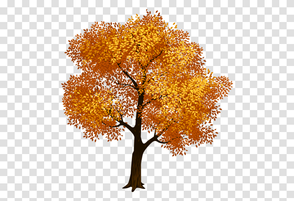 Detail Fall Tree Transparent Background Nomer 52