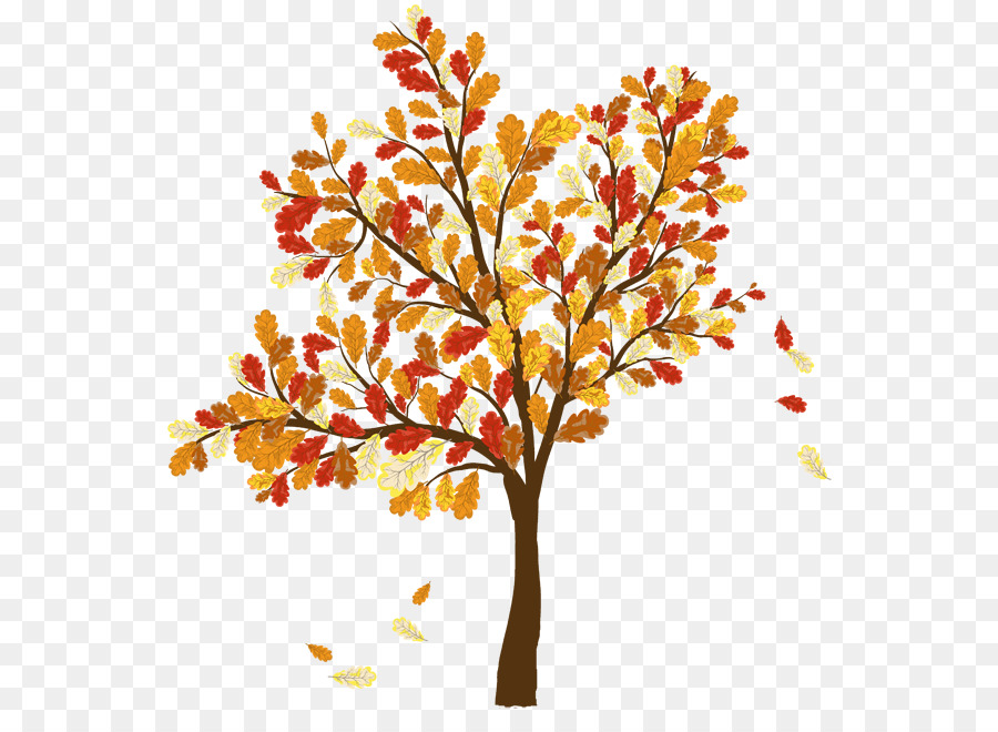 Detail Fall Tree Transparent Background Nomer 53