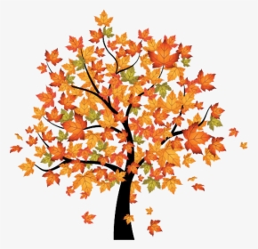 Detail Fall Tree Transparent Background Nomer 54