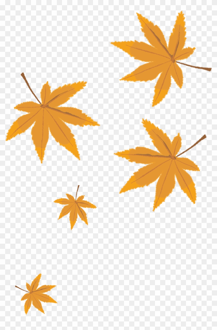 Detail Fallen Leaves Png Nomer 22