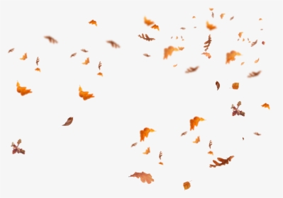 Detail Fallen Leaves Png Nomer 33