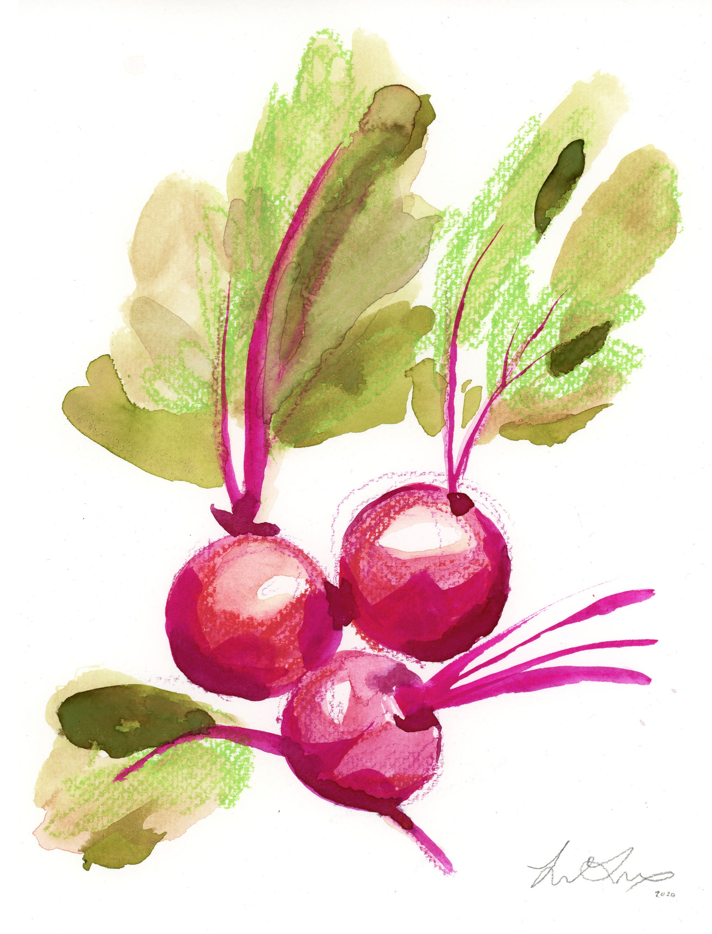 Detail Painting Watercolor Vegetables Nomer 11