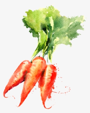 Detail Painting Watercolor Vegetables Nomer 15