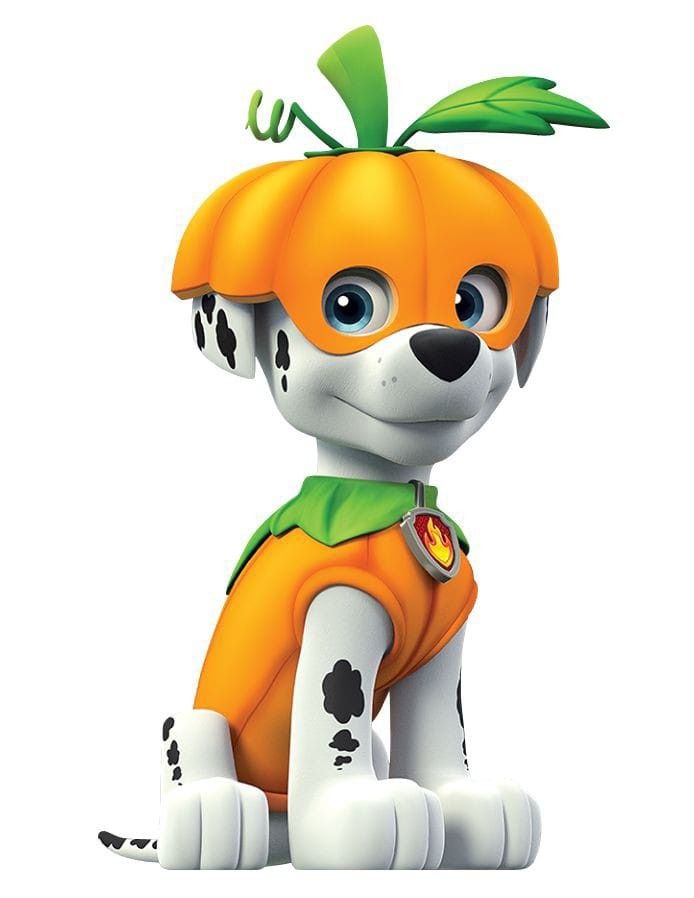 Detail Paw Patrol Skye Wiki Nomer 21