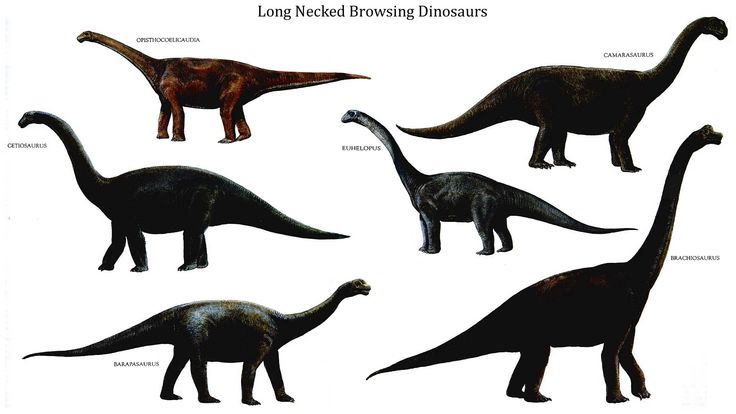 Detail Dinosaurier Namen Und Bilder Nomer 10