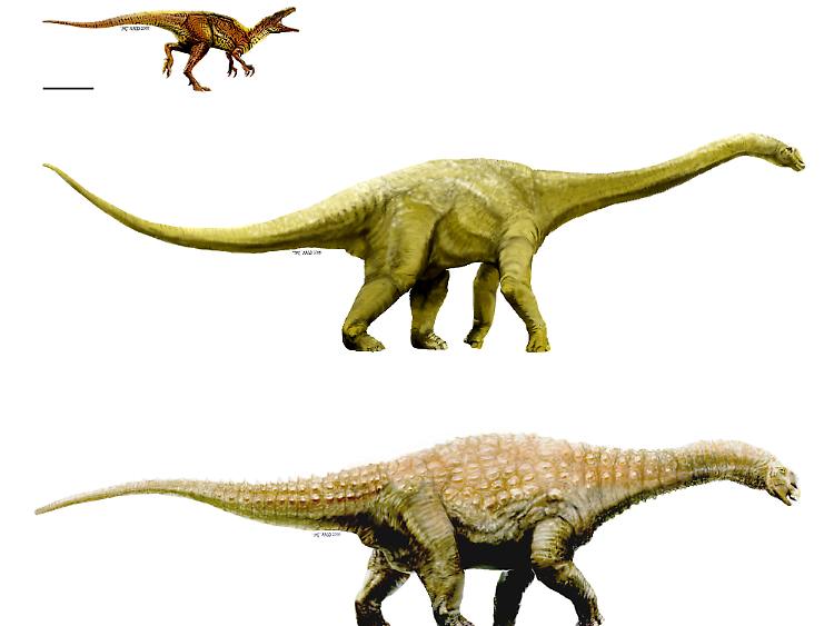 Detail Dinosaurier Namen Und Bilder Nomer 15