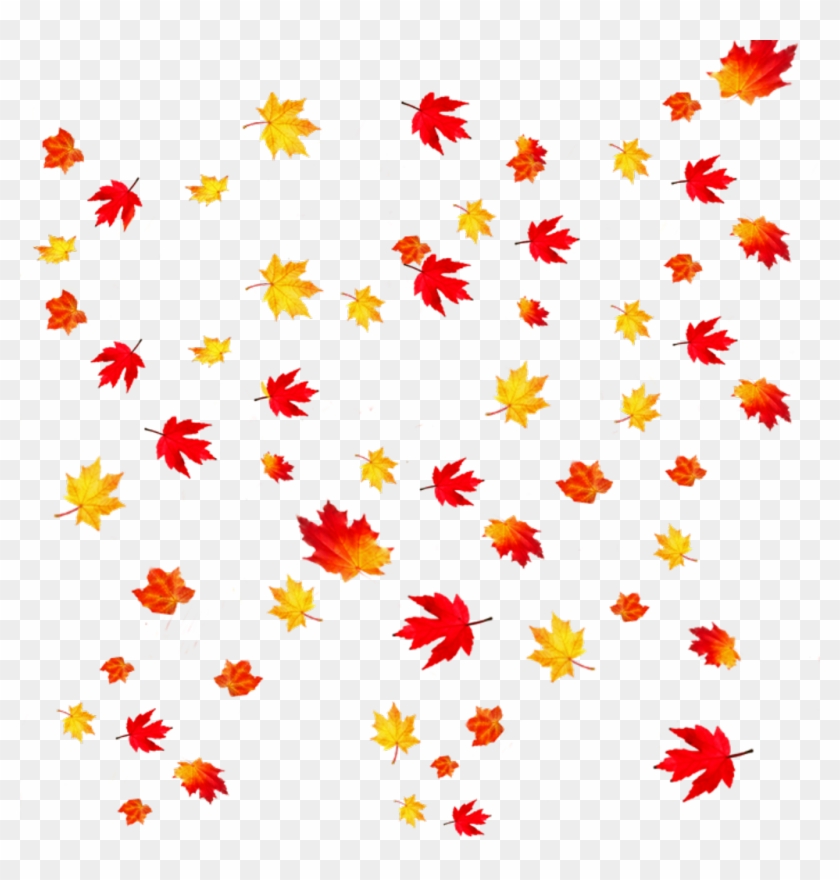 Detail Falling Leaf Png Nomer 27