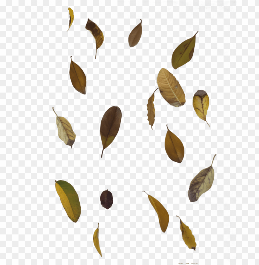 Detail Falling Leaf Png Nomer 32