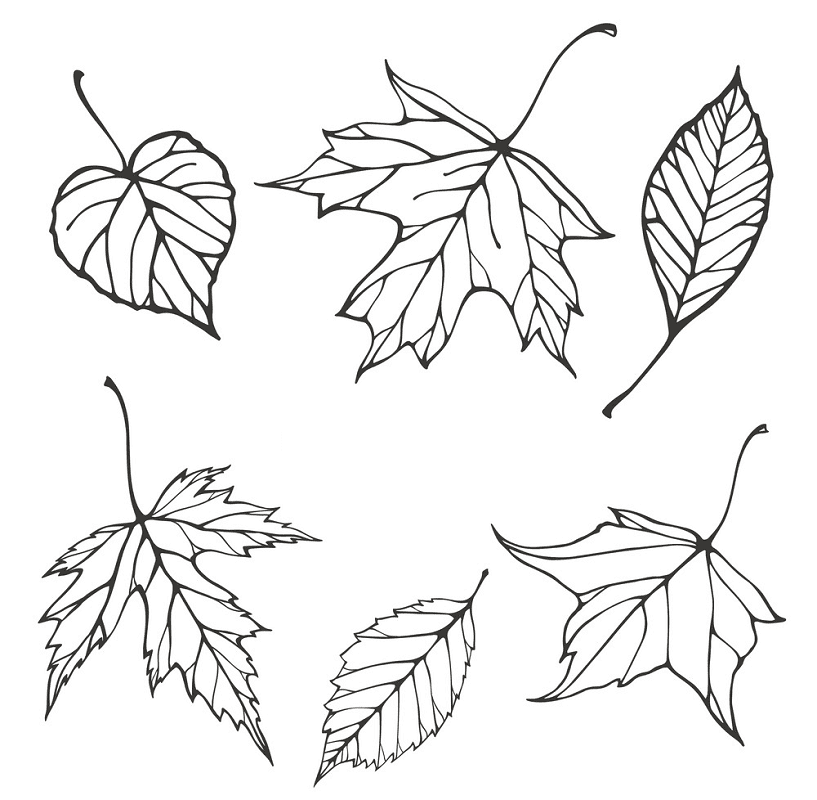 Detail Falling Leaves Clipart Black And White Nomer 2