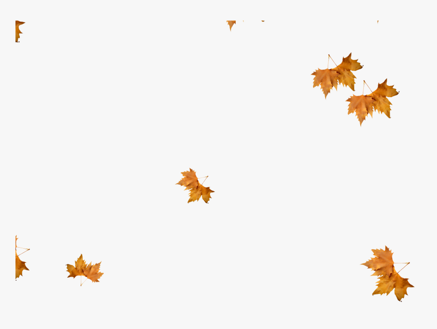 Falling Leaves Transparent Background - KibrisPDR