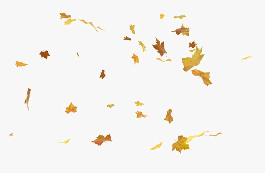 Detail Falling Leaves Transparent Background Nomer 4