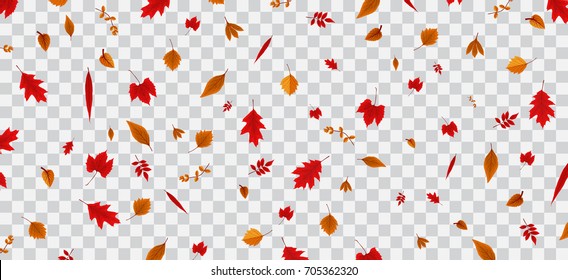 Detail Falling Leaves Transparent Background Nomer 7