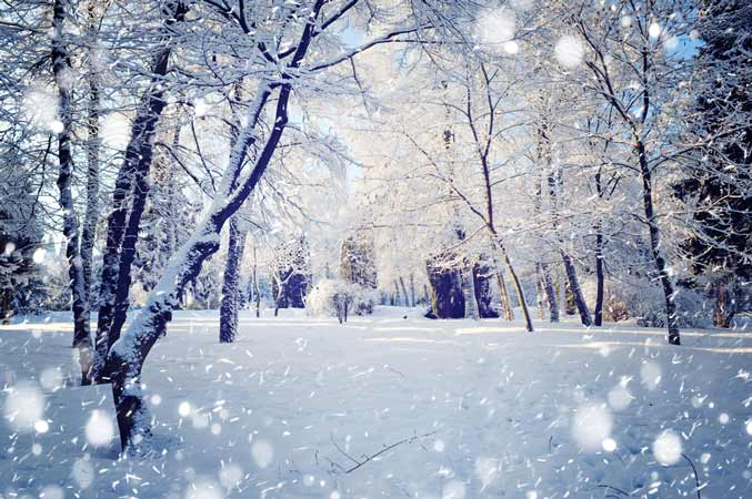 Falling Snow Images - KibrisPDR