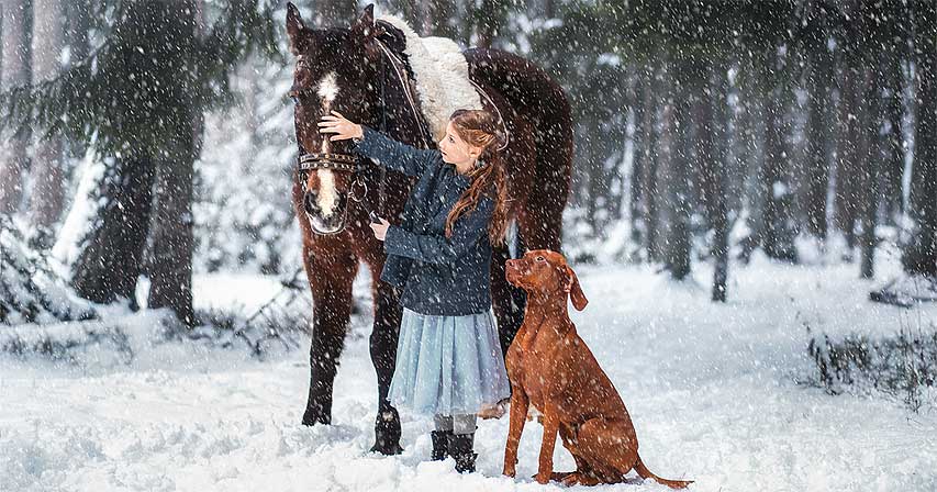 Detail Falling Snow Images Nomer 21