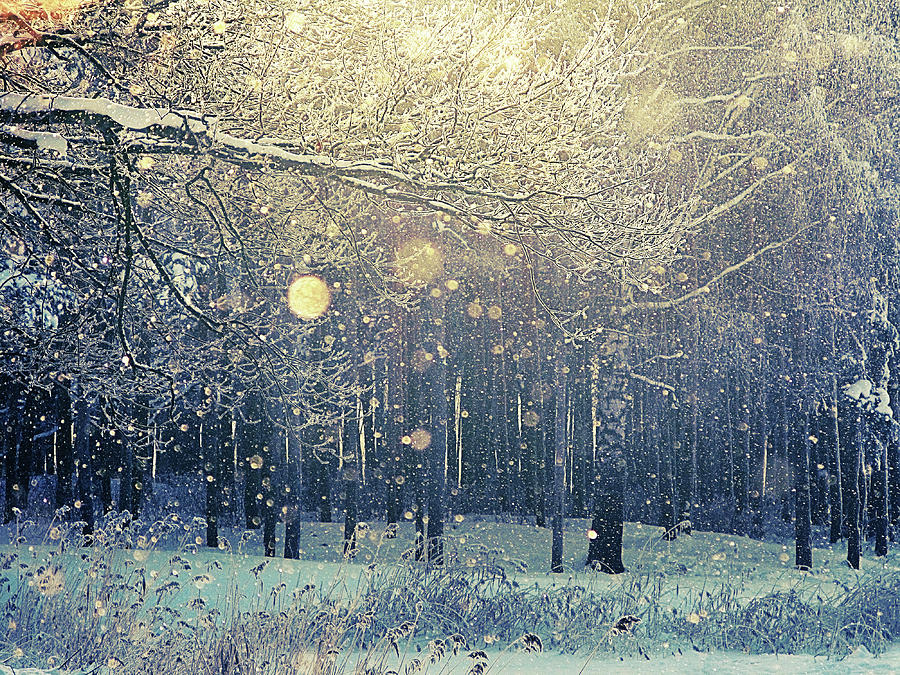 Detail Falling Snow Images Nomer 23