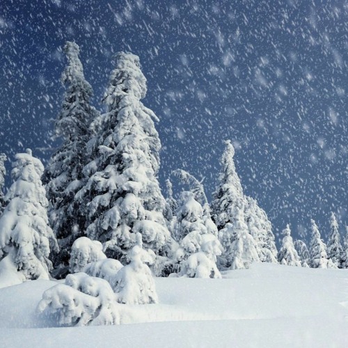 Detail Falling Snow Images Nomer 28