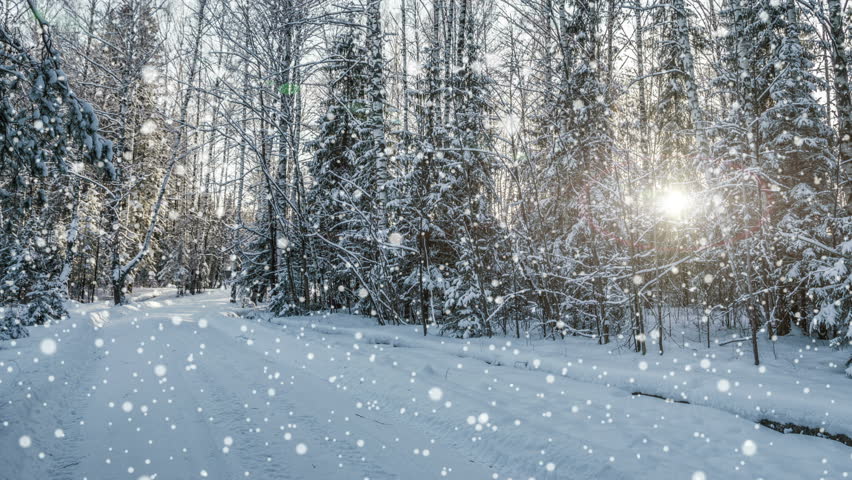 Detail Falling Snow Images Nomer 30