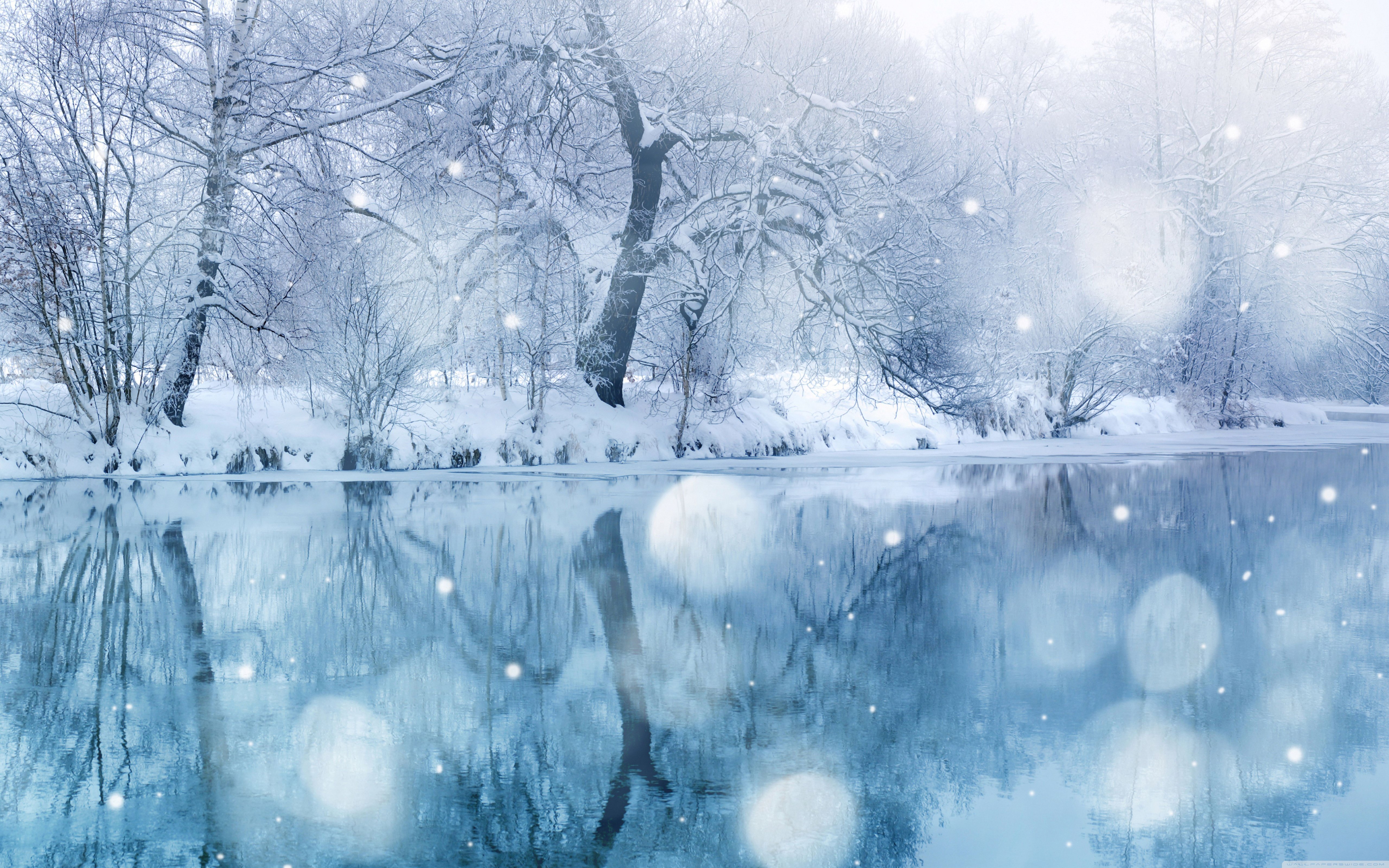 Detail Falling Snow Images Nomer 33