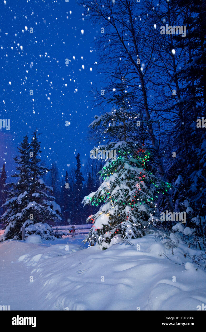 Detail Falling Snow Images Nomer 40