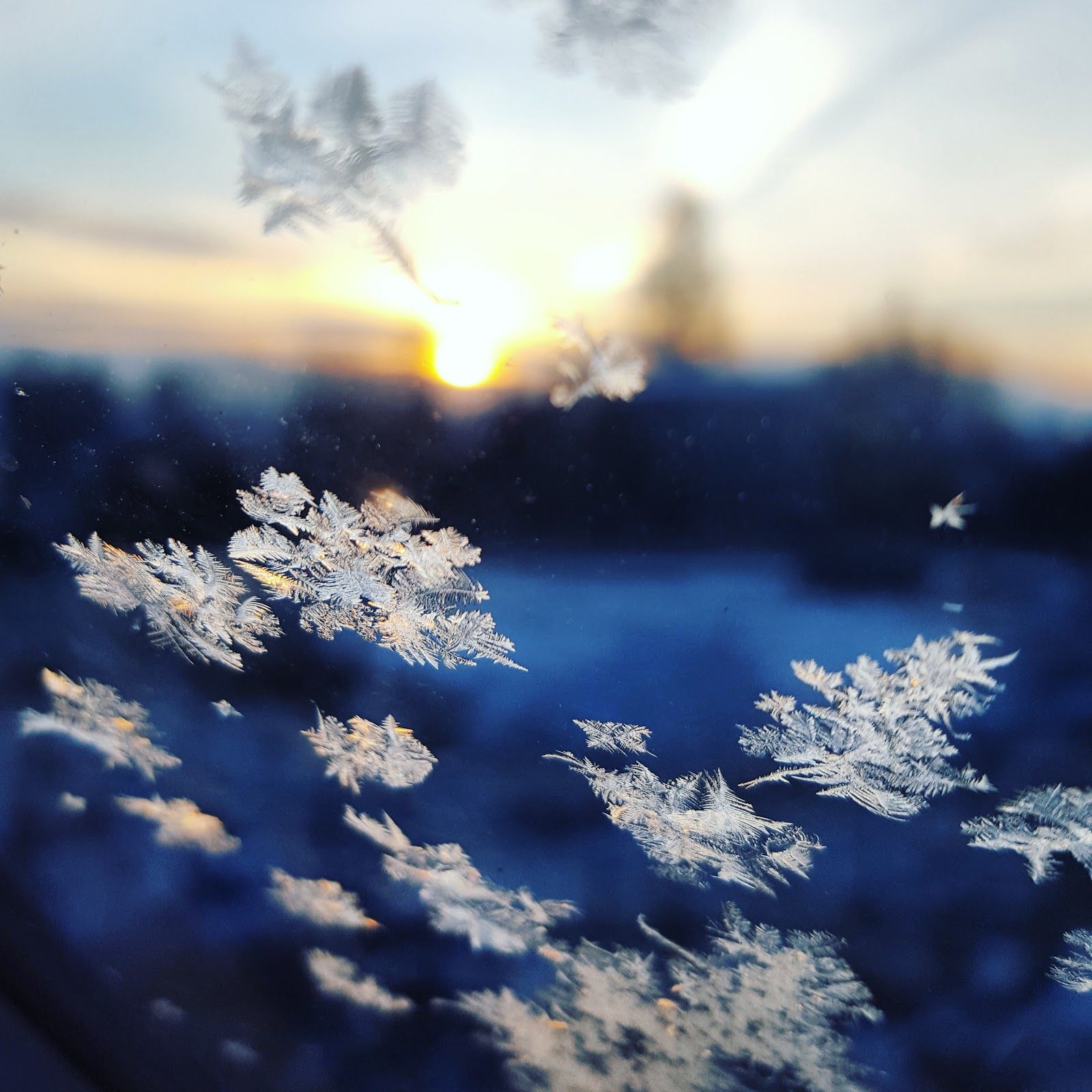 Detail Falling Snow Images Nomer 46